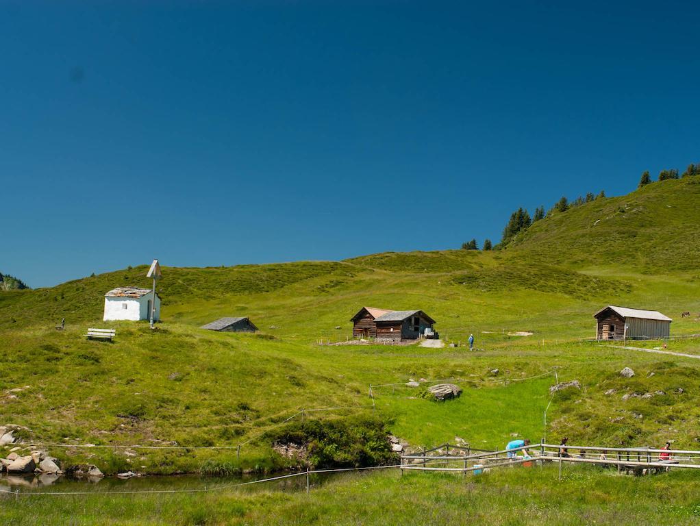 Haus Furka Affittacamere
